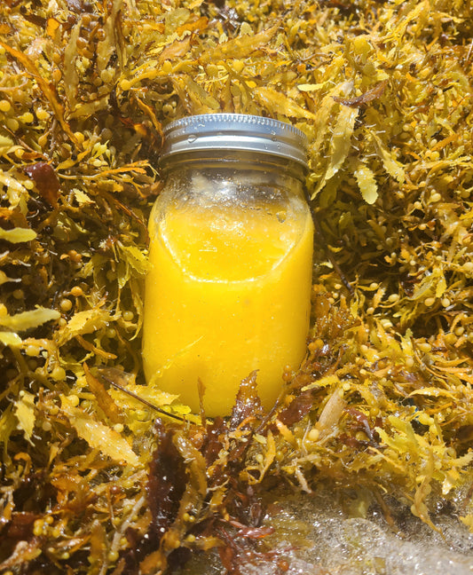 Mango Sea Moss Gel