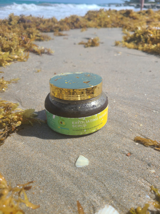 Organic Sea Moss Sugar Scrub