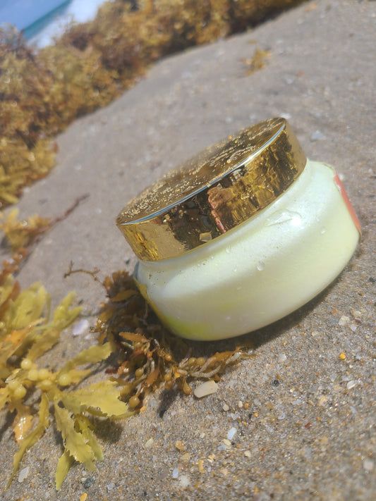 Anti-Aging Sea Moss Face Cream